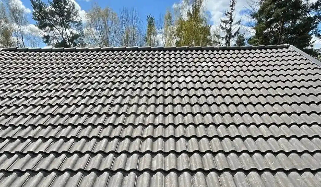 Varför du bör rengöra taket innan vintern